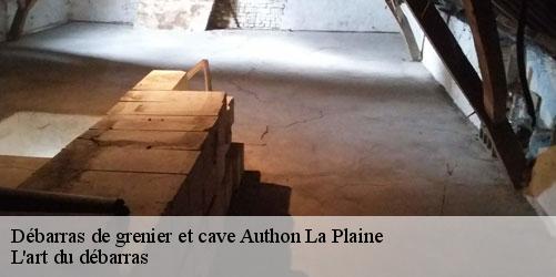 debarras-de-grenier-et-cave-4