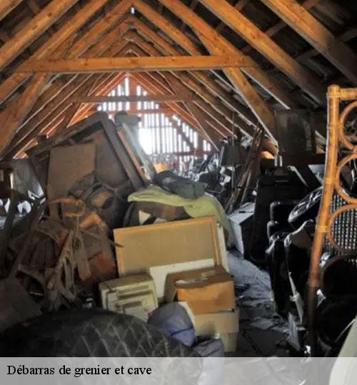 debarras-de-grenier-et-cave-3