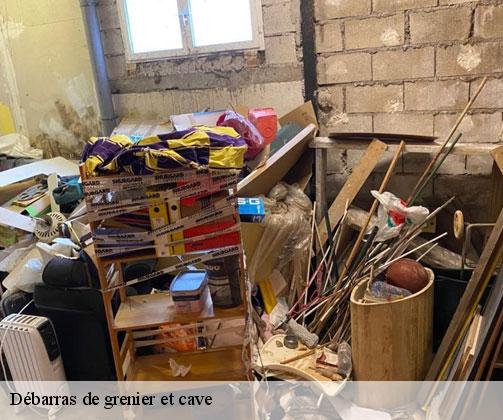 debarras-de-grenier-et-cave-9