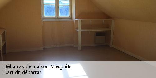 debarras-de-maison-4