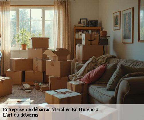 entreprise-de-debarras-1