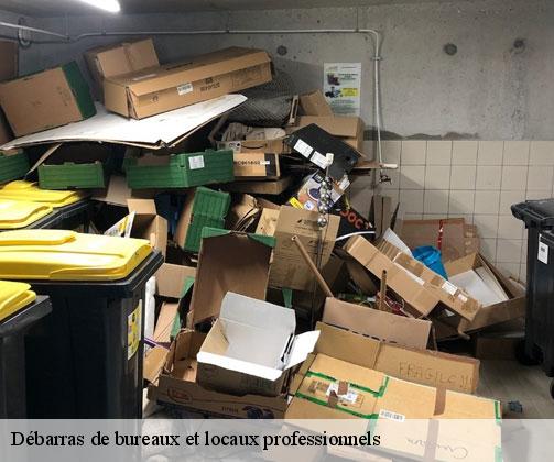 debarras-de-bureaux-et-locaux-professionnels-6