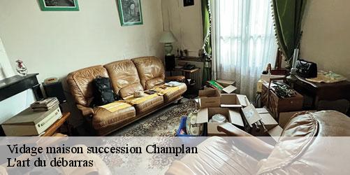 vidage-maison-succession-4